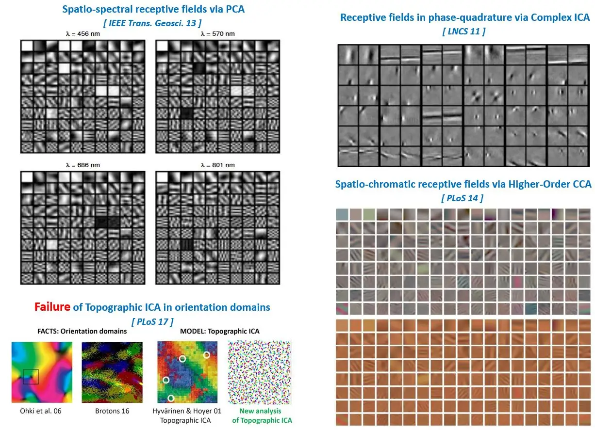 [Statistically-based Linear Receptive Fields](#statistically-based-linear-receptive-fields)