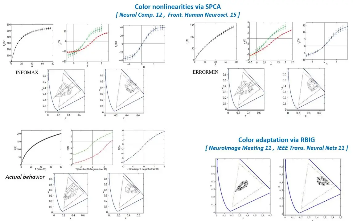 [SPCA Responses 2](#statistically-based-nonlinearities)