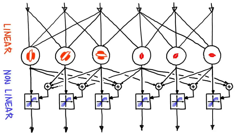 Mechanistic Models