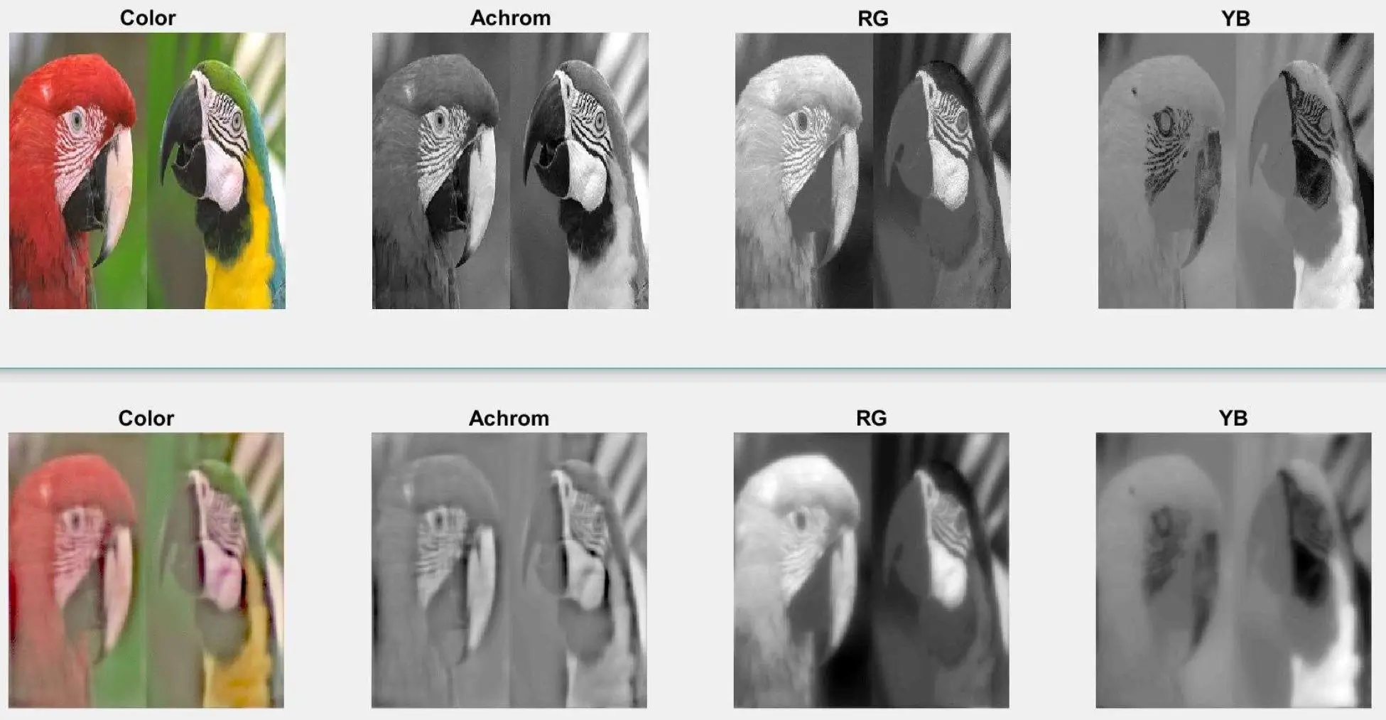 [Spatial-only CSFs on a natural image](#spatio-temporal-contrast-sensitivities)