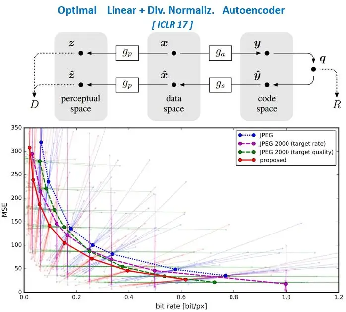 [Autoencoder for Optimal Representation](#efficient-coding-in-mechanistic-models)