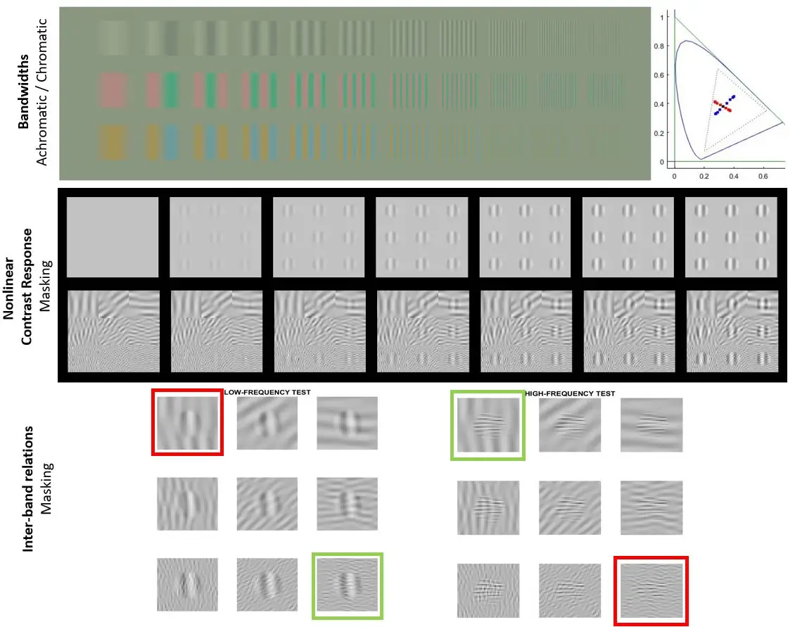 [Facts of Vision - Achromatic and Chromatic Bandwidths](#psychophysical-test-bed-for-model-tuning-and-comparison)