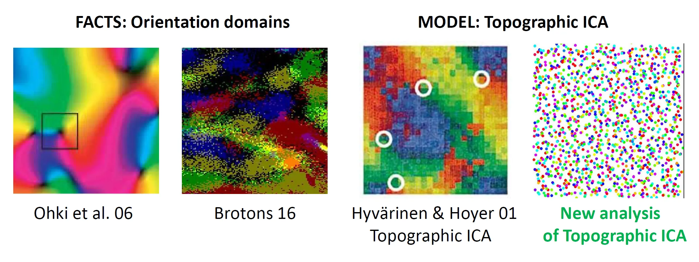 [Summary](#1-orientation-domains-and-the-proposed-analysis)