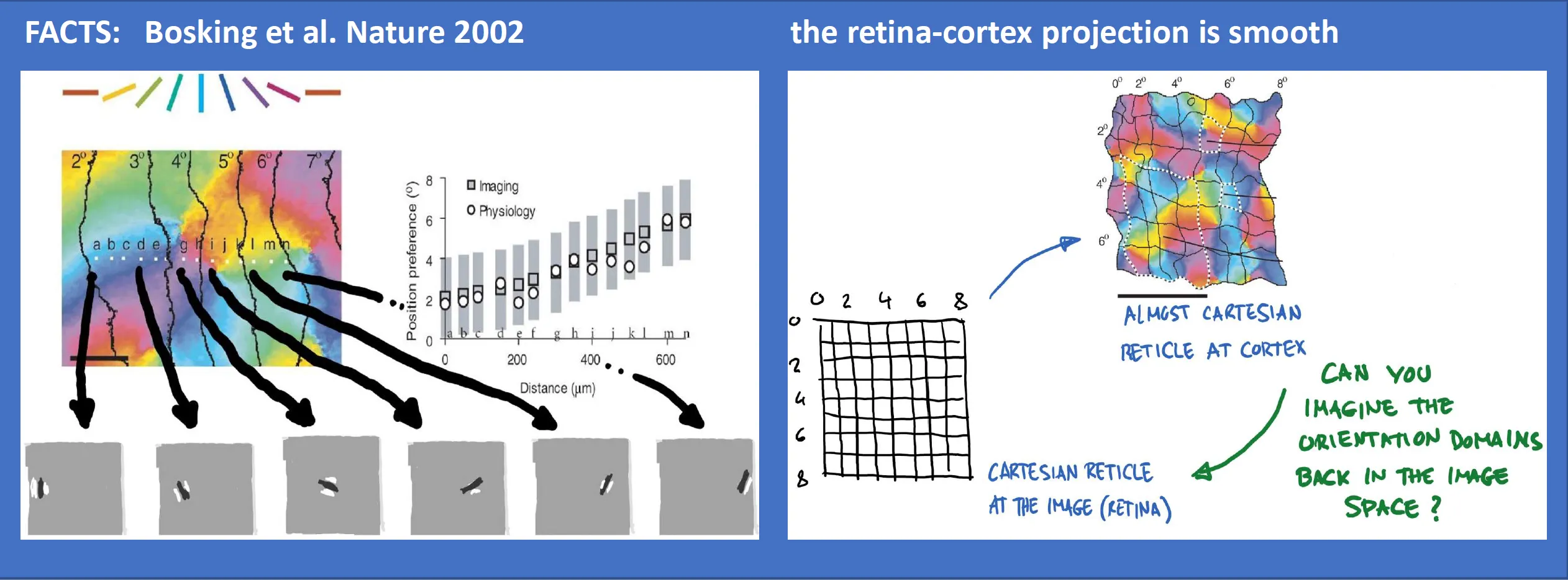 [Orientation domains in image space](#1-orientation-domains-and-the-proposed-analysis)