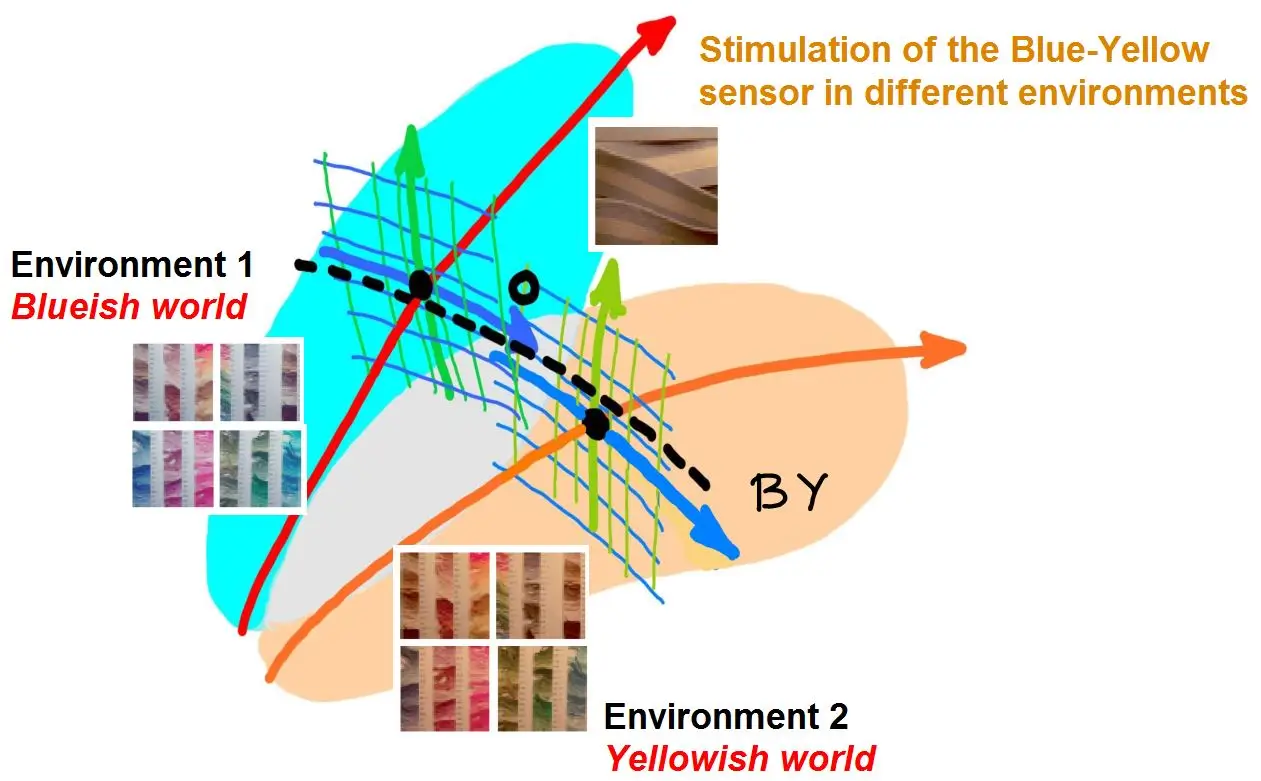 [Adaptation of color sensors I](#predictions-using-sequential-principal-curves-analysis)