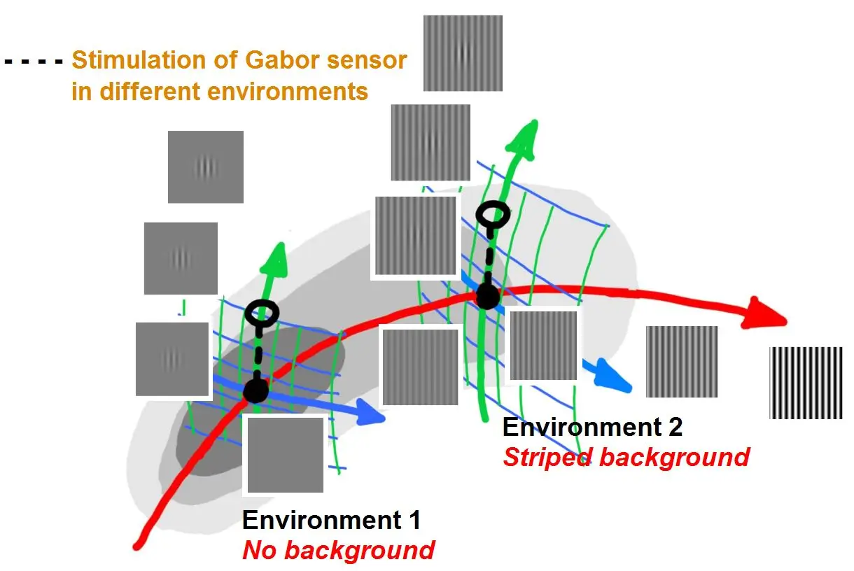 [Adaptation of texture sensors I](#predictions-using-sequential-principal-curves-analysis)