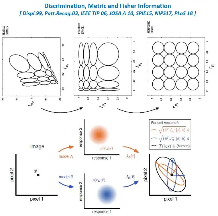 [Fisher Information Metric for Vision Models](#statistically-based-nonlinearities)