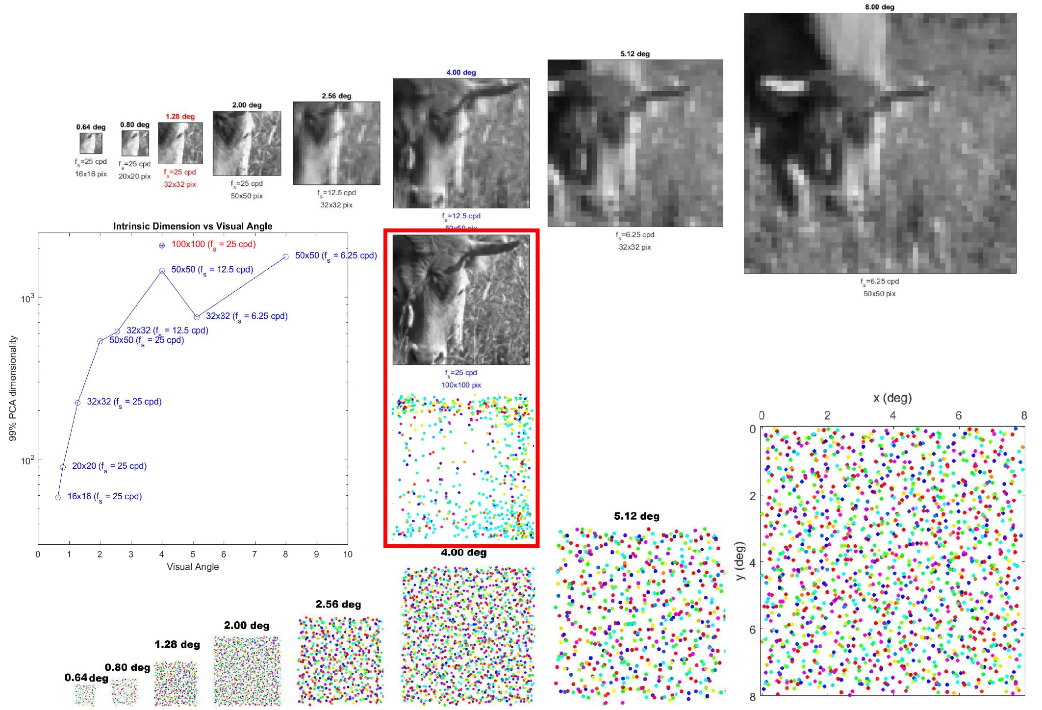 [Results with increased image complexity](#5-extra-results-for-images-of-bigger-complexity-and-other-settings-of-the-algorithm)