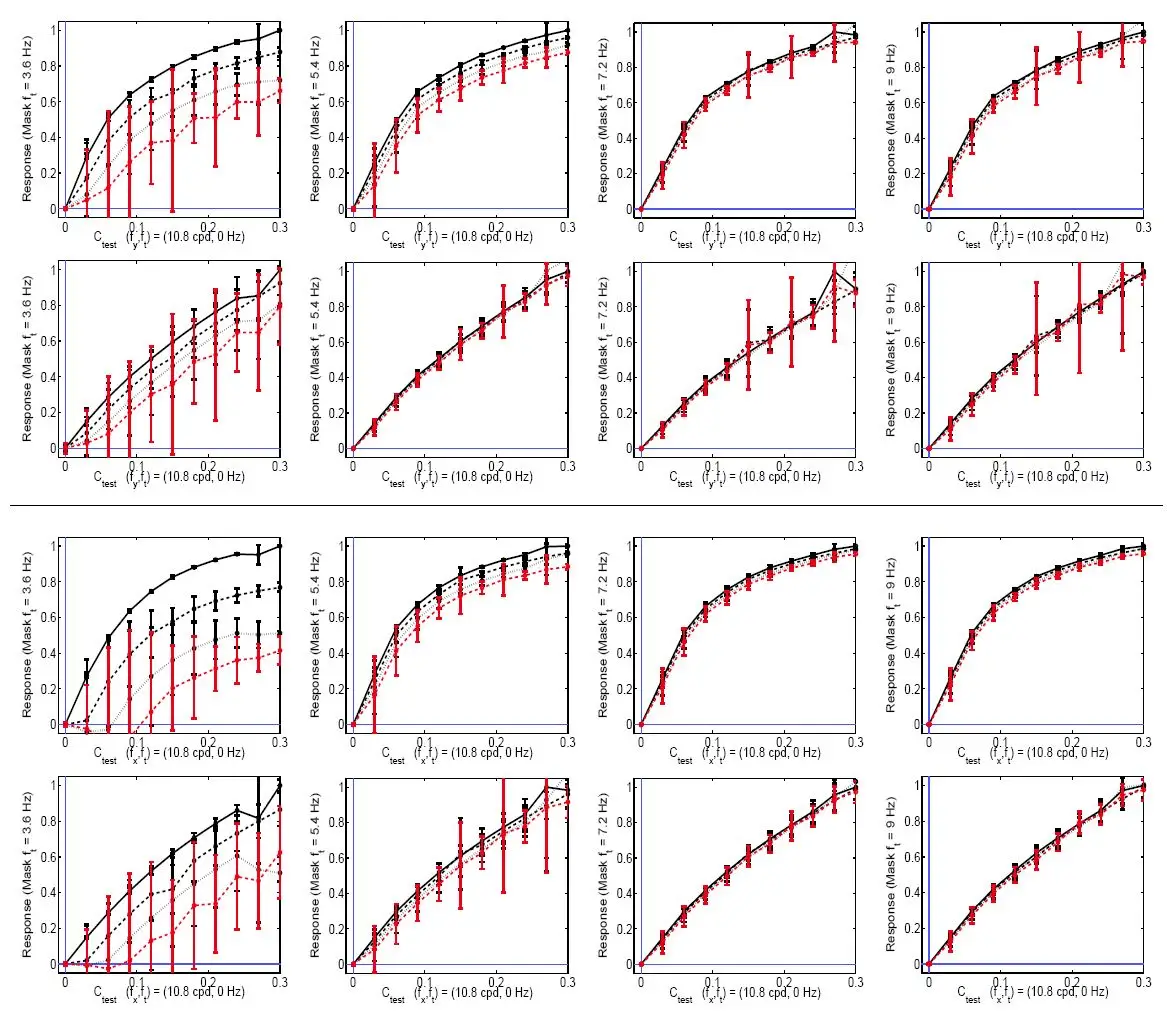 [Predictions of nonlinear responses leading to the Motion Aftereffect](#predictions-of-nonlinear-responses-leading-to-the-motion-aftereffect)