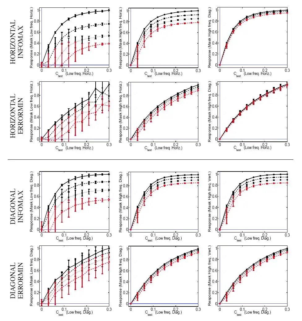 [Predictions of nonlinear responses leading to the Texture Aftereffect](#predictions-of-nonlinear-responses-leading-to-the-texture-aftereffect)