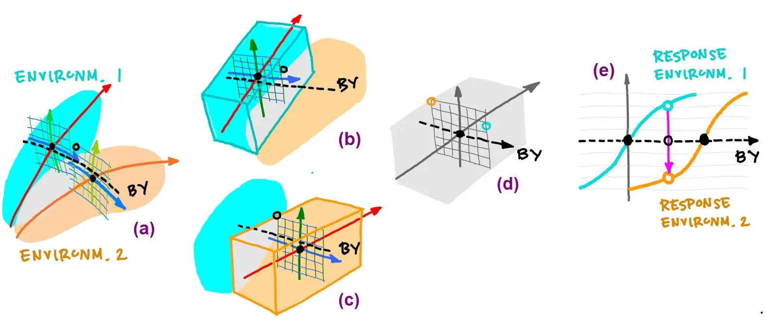 [Adaptation of color sensors II](#predictions-using-sequential-principal-curves-analysis)