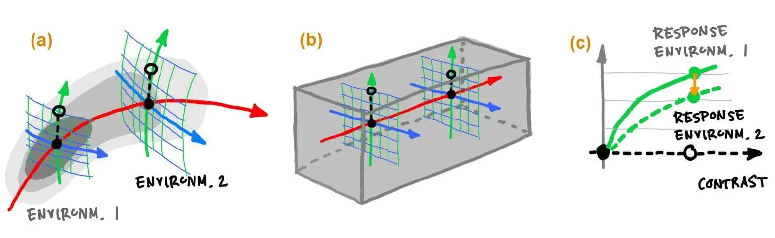 [Adaptation of texture sensors II](#predictions-using-sequential-principal-curves-analysis)