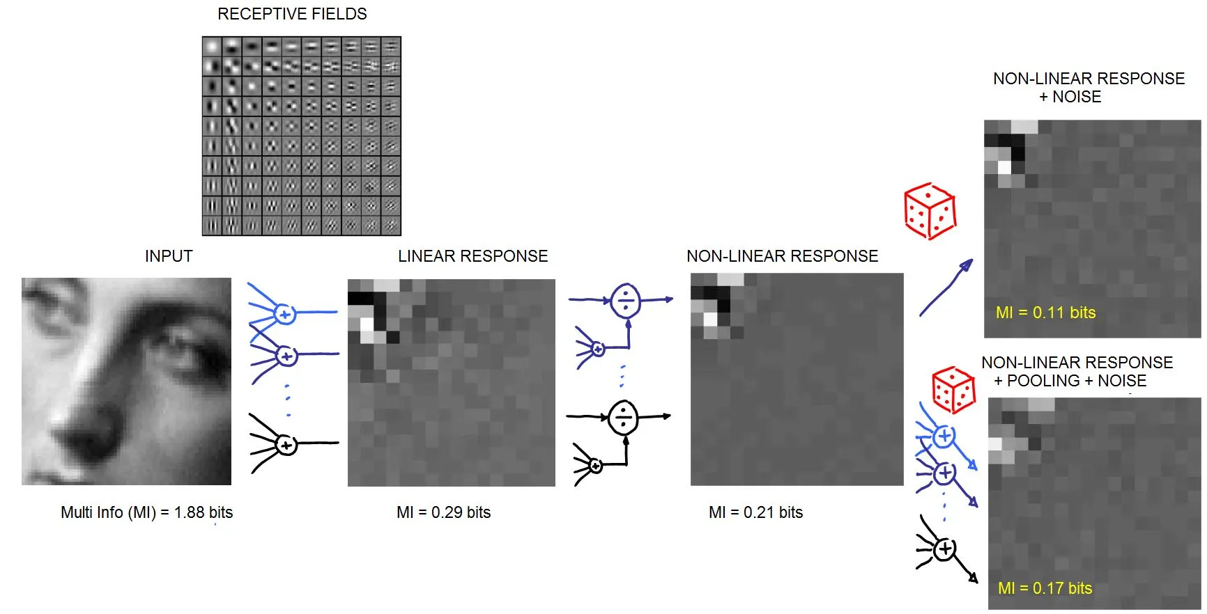 [Simplified (Forward) Model](#simplified-forward-model-to-start-playing-with)