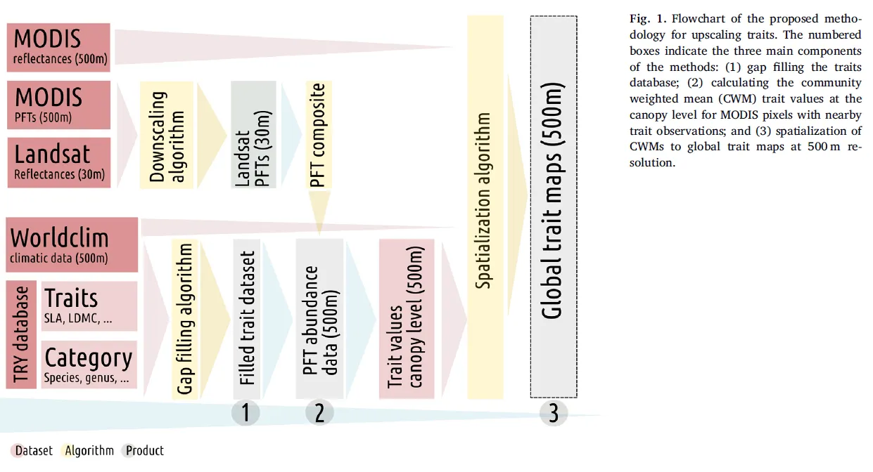 [Flowchart of the Processing Chain](#what-is-this-about)