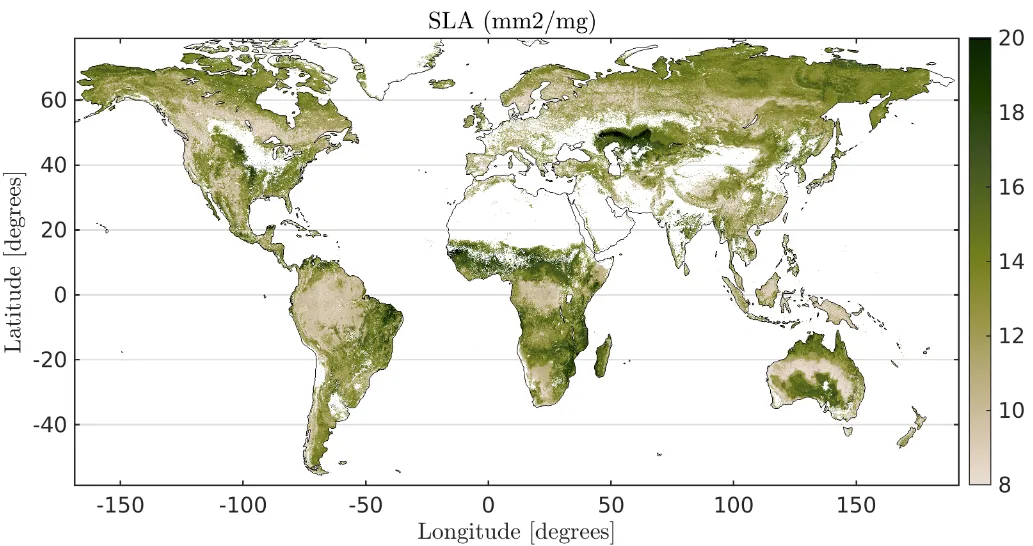 Global Leaf Traits Image